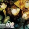 アニメ「STEINS;GATE（シュタインズ・ゲート）」